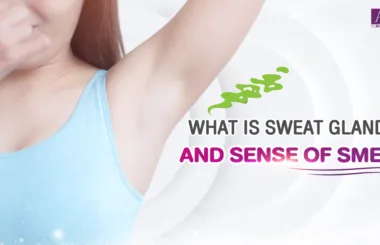 What is sweat glands and sense of smell
