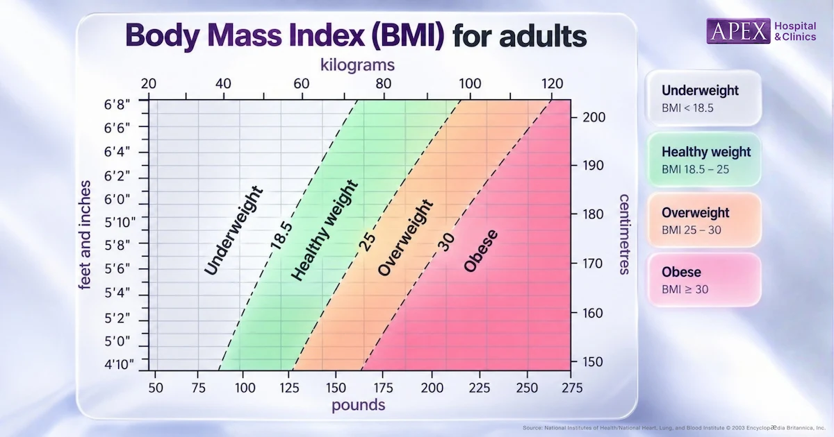 ภาพตัวอย่างความสัมพันธ์ของส่วนสูง น้ำหนัก และค่า BMI ในผู้ใหญ่