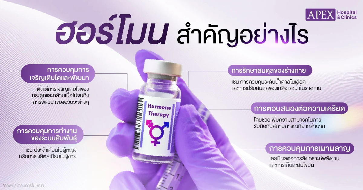 ความสำคัญ ฮอร์โมน