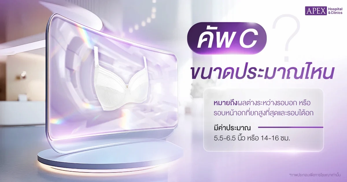 คัพ C ใหญ่ไหม ขนาดประมาณไหน