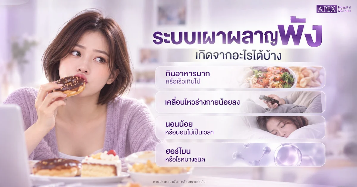 ระบบเผาผลาญพังเกิดจากอะไรได้บ้าง