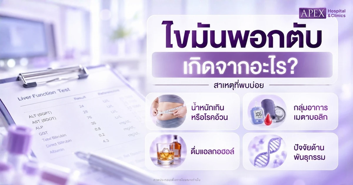 ไขมันพอกตับ เกิดจากอะไร